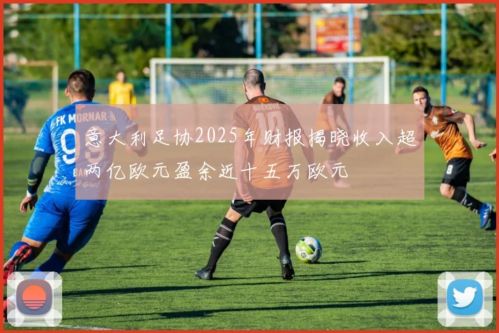 意大利足协2025年财报揭晓收入超两亿欧元盈余近十五万欧元